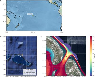 Long-Term Presence of the Island Mass Effect at Rangiroa Atoll, French Polynesia